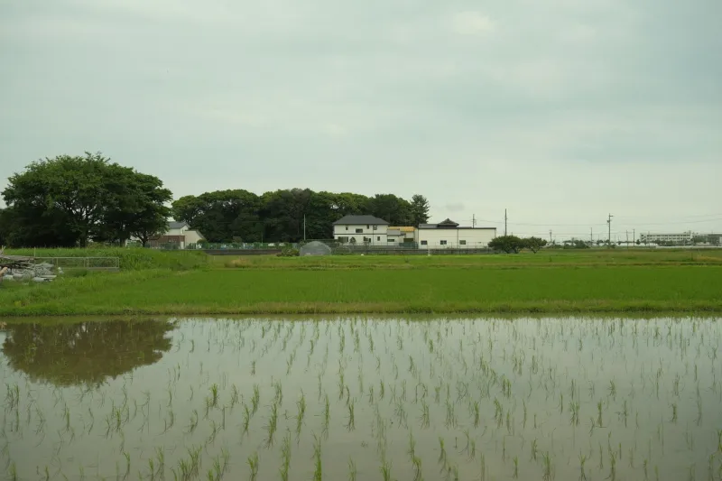 Acres, Equity, and Legacy: Why Rural Japan Is Becoming America's Favorite Overseas Property Market
