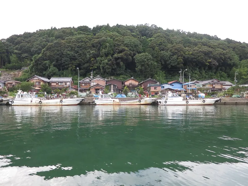 Beyond the Neon Lights: American Expats Discovering Community and Career in Japan's Overlooked Prefectures