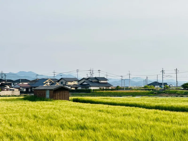 Unlocking Long-Term Residency: The Lesser-Known Visa Pathways Bringing Americans to Rural Japan