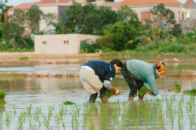 Shared Stakes, Shared Rewards: How Rural Japan's Cooperative Economy Offers Americans a New Way to Work and Invest